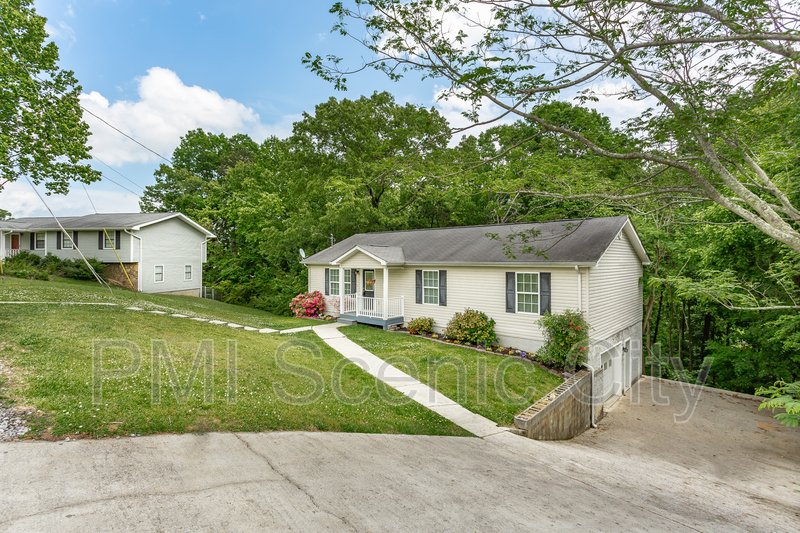 343 Pine St property image