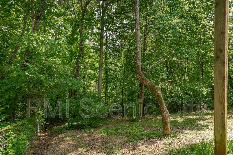 343 Pine St property image