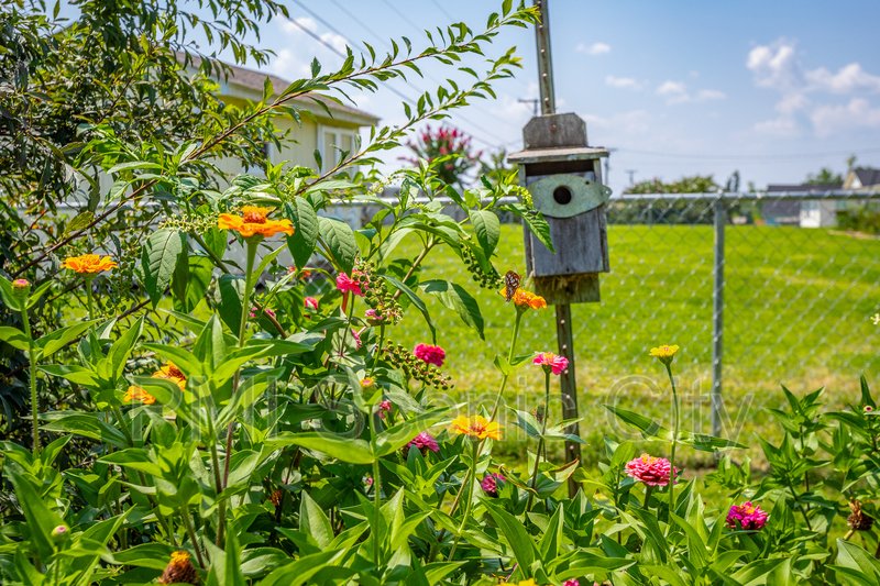 8140 Holly Crest Dr property image